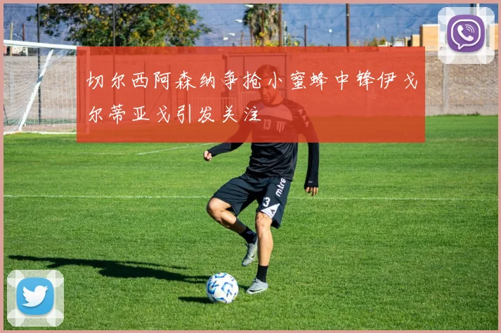 切尔西阿森纳争抢小蜜蜂中锋伊戈尔蒂亚戈引发关注