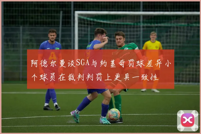 阿德尔曼谈SGA与约基奇罚球差异小个球员在裁判判罚上更具一致性